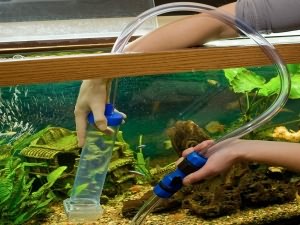 как чистить грунт в аквариуме с растениями