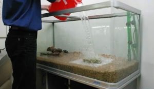 аквариум с водой