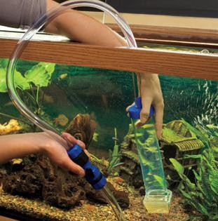 Аквариумы как менять воду в аквариуме