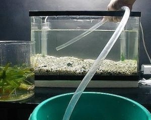 Сколько отстаивать воду для аквариума