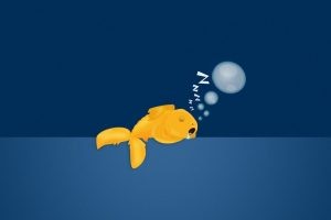 Как спят рыбы в аквариуме